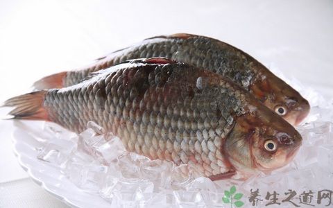 鯽魚的營養(yǎng)價值鯽魚的營養(yǎng)價值及功效