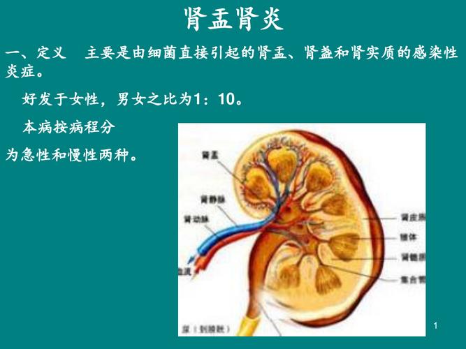 腎盂腎炎癥狀_腎盂腎炎癥狀與治療