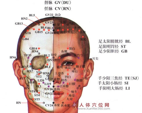 按穴治?。侯^面部穴位