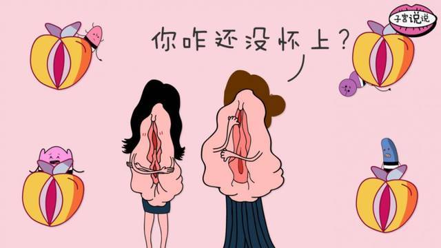 女性私處有哪些種類？女性私處一般有六種類型