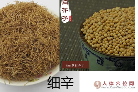 細(xì)辛白芥子，敷好手肘疼痛