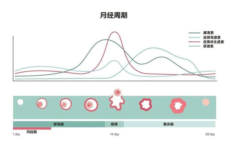 女性的性欲和年齡有關(guān)嗎？不同年齡段女性的性欲