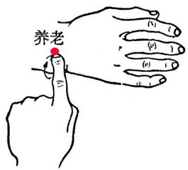 養(yǎng)老穴