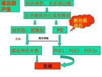 的作用_的作用機(jī)制和藥理作用