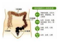 便秘的癥狀(氣秘型便秘的癥狀)