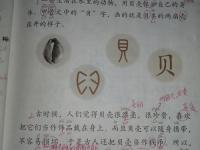 貝字旁的字有什么,貝字旁的字有什么意義