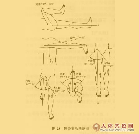 關(guān)節(jié)活動(dòng)度