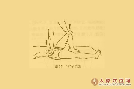 髖關(guān)節(jié)特殊檢查