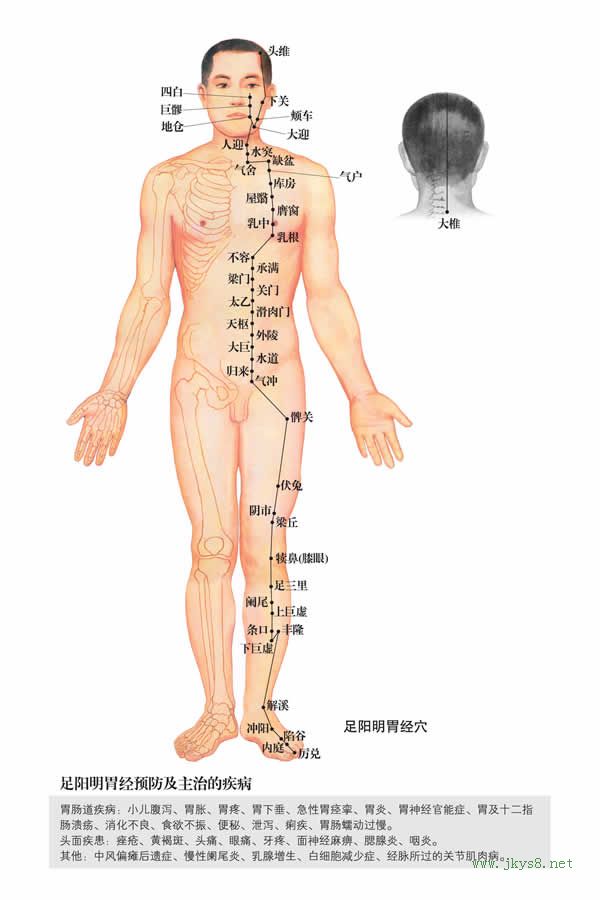 乳中穴：胃經(jīng)(圖文)