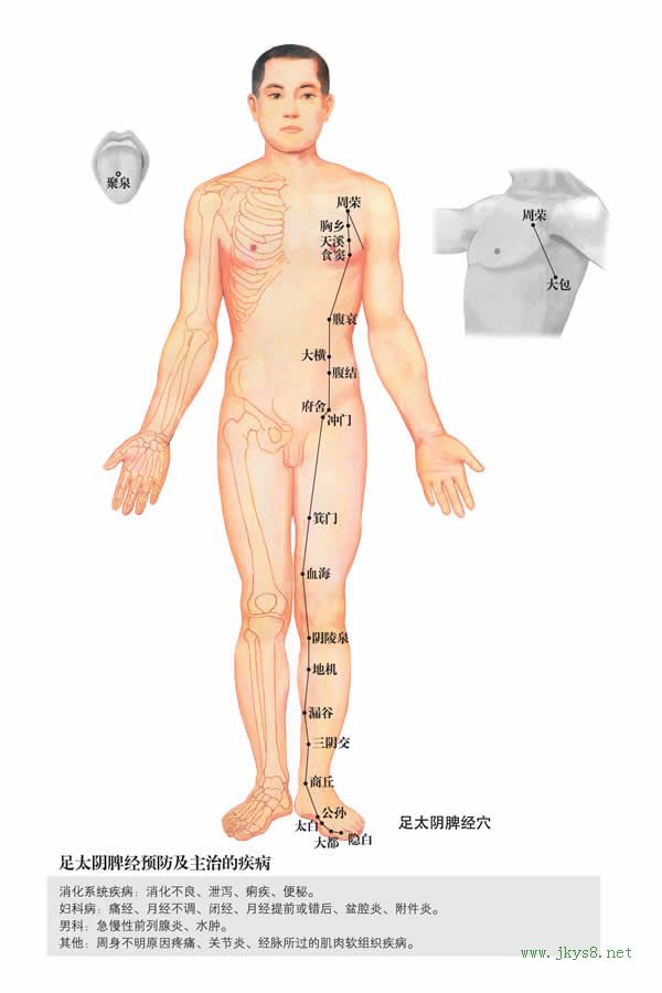 腹哀穴：脾經(圖文)