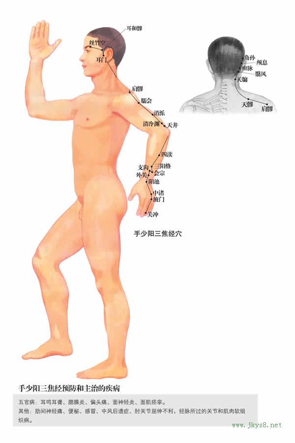 四瀆穴：三焦經(jīng)(圖文)