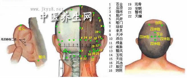 頭部背面穴位圖-人體穴位圖大全-按身體部位查詢(圖文)