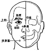 魚腰穴位位置圖