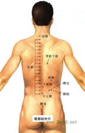 定喘穴位位置圖-人體穴位查詢