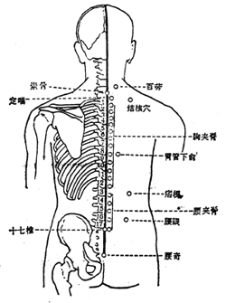 定喘穴位位置圖-人體穴位查詢