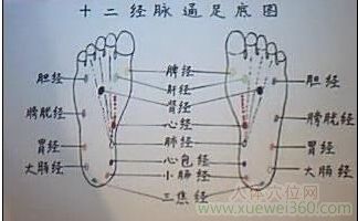 足底經絡分布圖