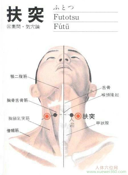 扶突穴解剖位置圖