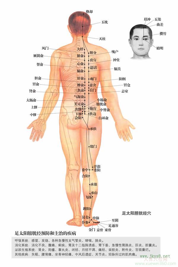 魄戶穴：膀胱經(jīng)(圖文)