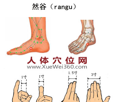 然谷穴位位置圖