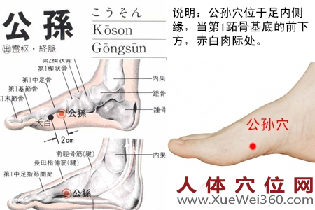 公孫穴的準確位置圖