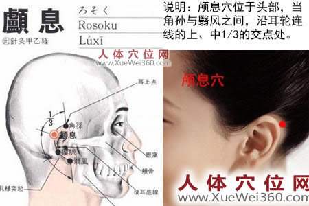 顱息穴的準(zhǔn)確位置圖