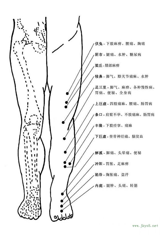 圖片詳解-人體穴位、經(jīng)脈及對應(yīng)疾病大全