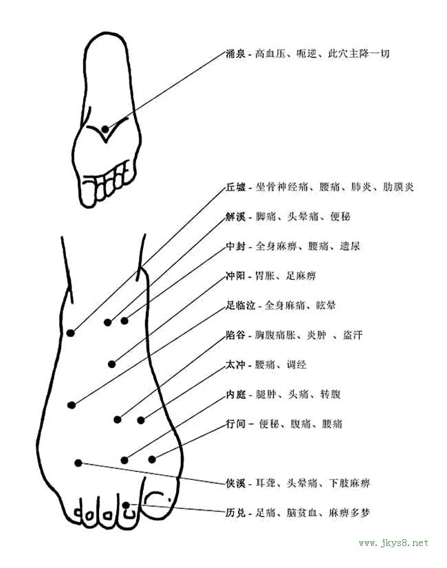 人體穴位高清圖帶穴位功能主治說(shuō)明