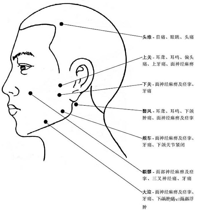 人體穴位高清圖帶穴位功能主治說(shuō)明