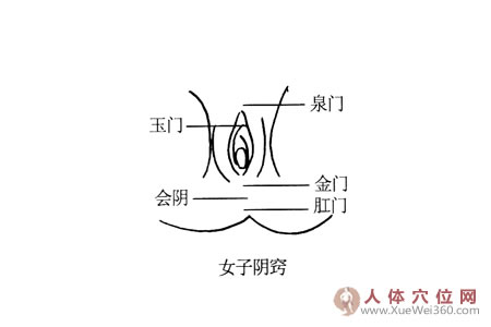 女子陰竅按摩穴位圖