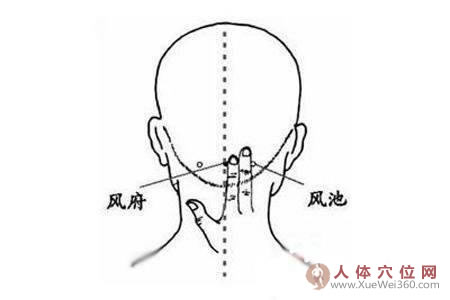 風(fēng)池穴