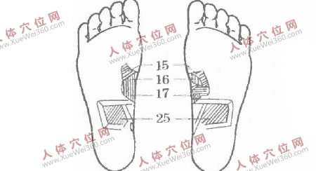 堅持手腳穴位按摩治便秘很靈驗