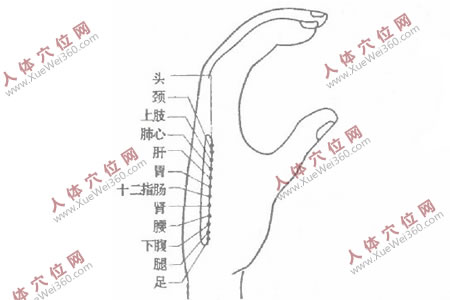 我用“奇療法”為別人治好了胸痛和偏頭痛